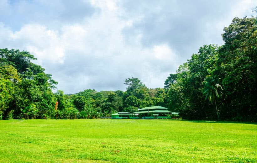 Sirena Ranger Station Expedition from Quepos Airport