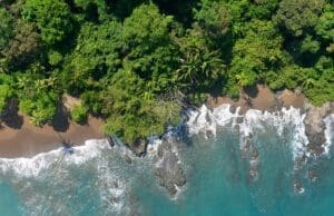 Discover Corcovado