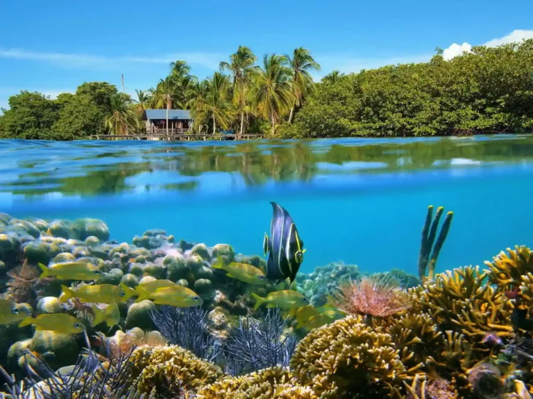 Bocas del Toro, Panama