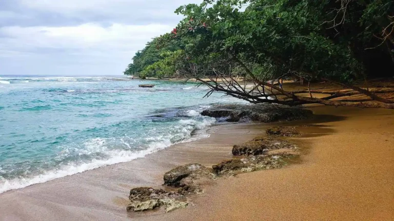 Puerto Viejo