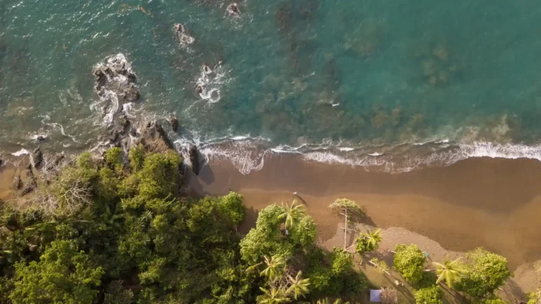 Puerto Jimenez
