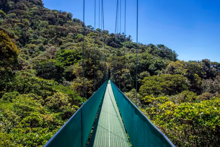 Monteverde